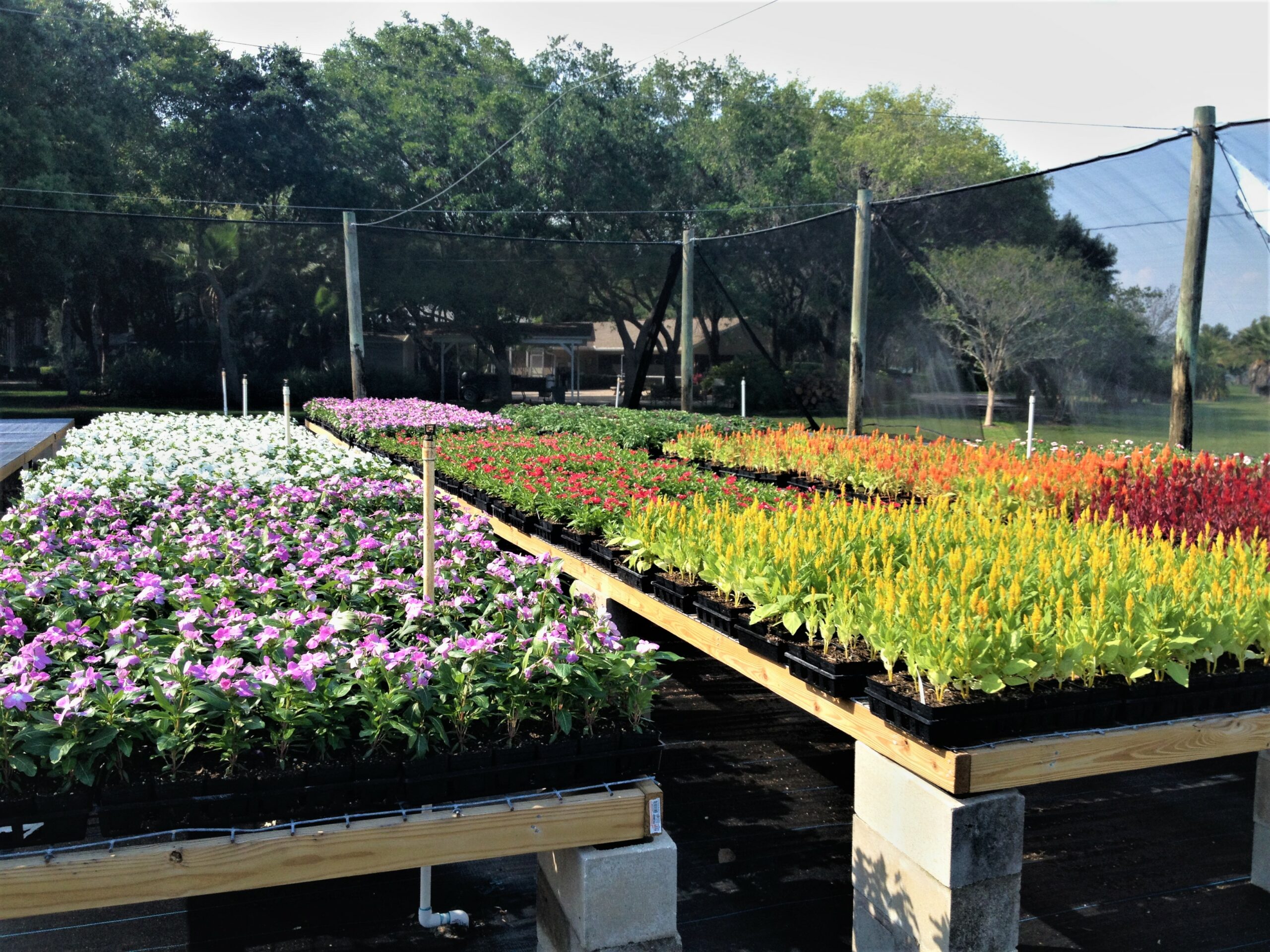 Weber Environmental Services - commercial landscaping