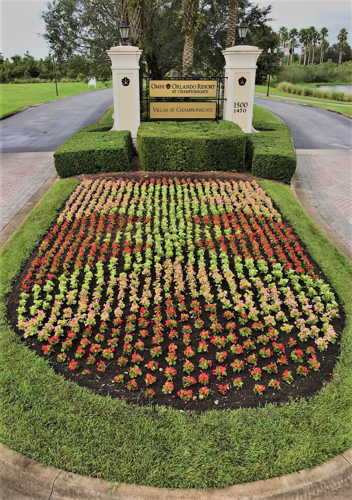 Commercial Landscape Installation in Orlando, Florida  Weber Environmental Services