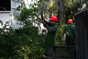 Weber Environmental Services - commercial landscaping