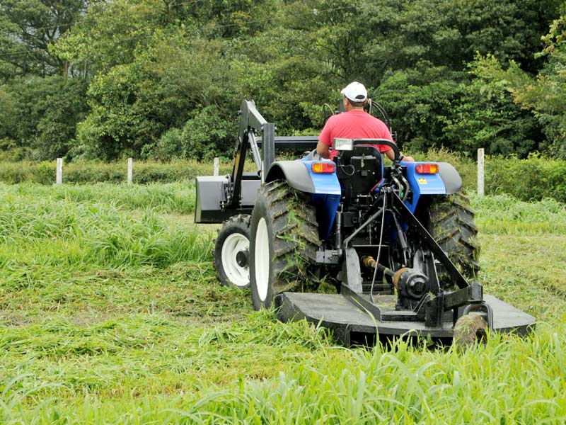 bush hogging - weber environmental services